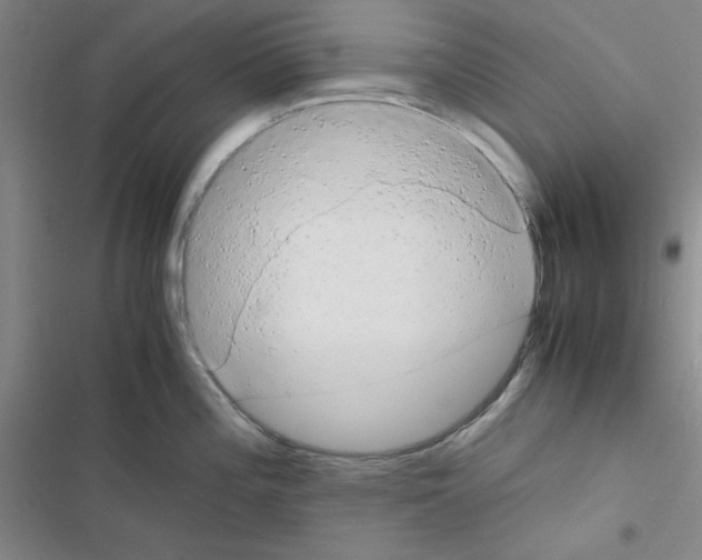 X0000116661196201001251211