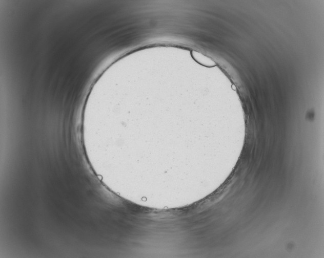 X0000116661199201001251211
