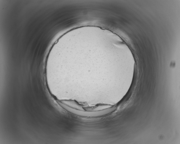 X0000116661200201001251211