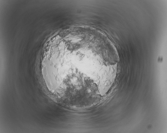 X0000116661201201001251210