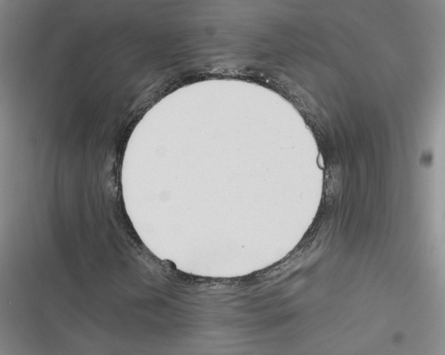 X0000116661202201001251210