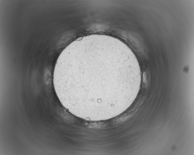 X0000116661203201001251210