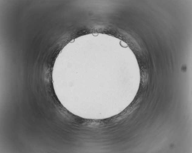 X0000116661204201001251210
