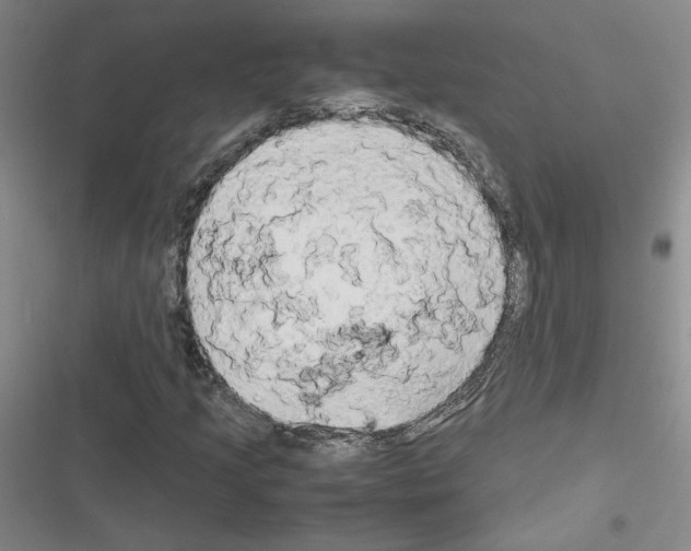 X0000116661205201001251210
