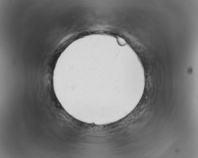 X0000116661206201001251210