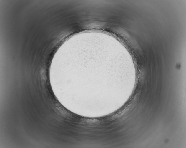 X0000116661209201001251211