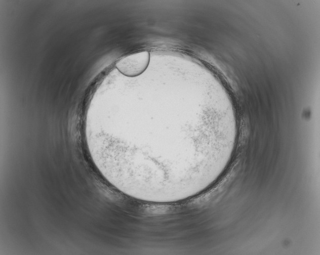 X0000116661211201001251211