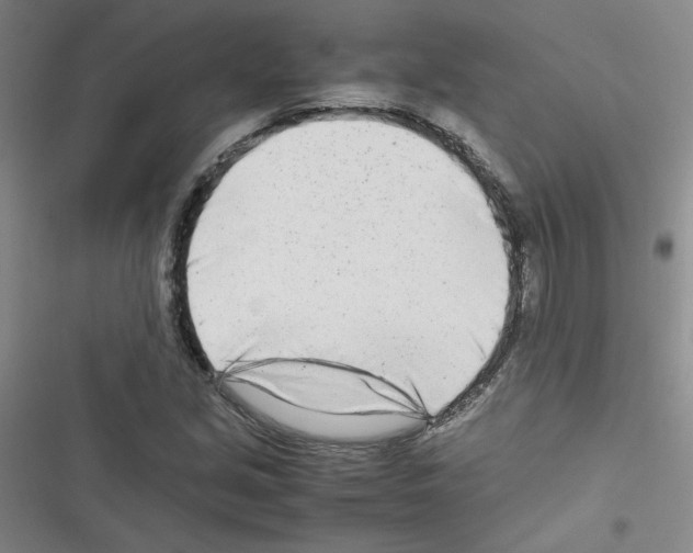 X0000116661213201001251211