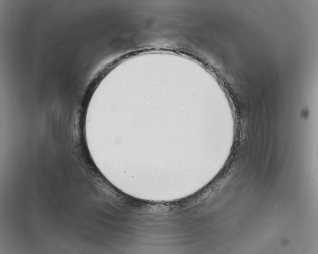 X0000116661214201001251211