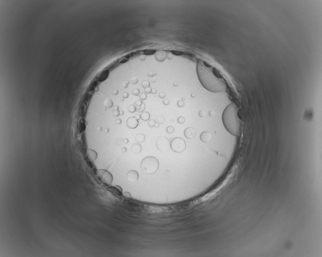 X0000116661215201001251211