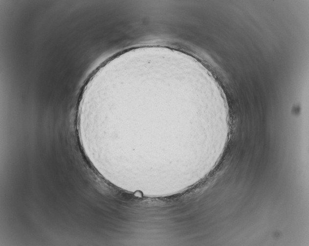 X0000116661216201001251211