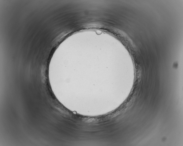 X0000116661217201001251211