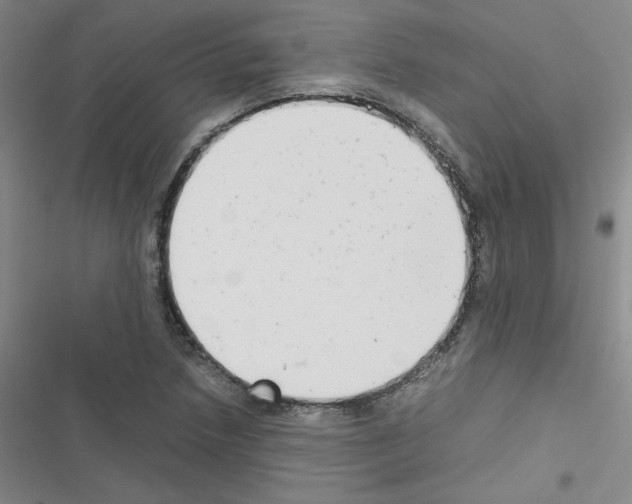 X0000116661218201001251211