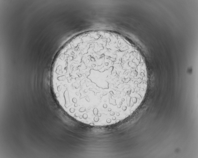 X0000116661220201001251211