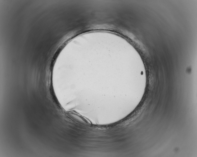 X0000116661221201001251211