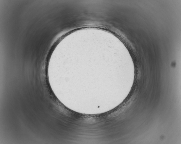 X0000116661222201001251211