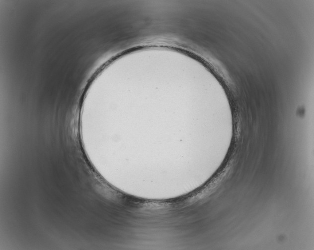 X0000116661224201001251211