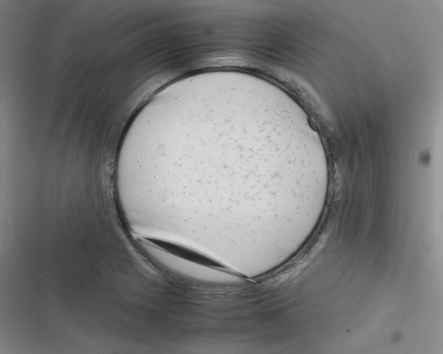 X0000116661225201001251211