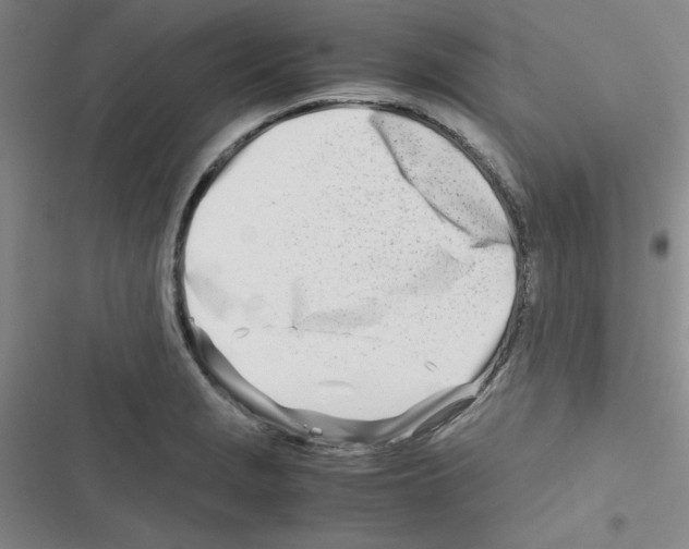 X0000116661229201001251211