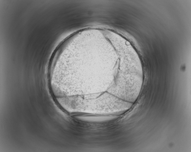 X0000116661231201001251211