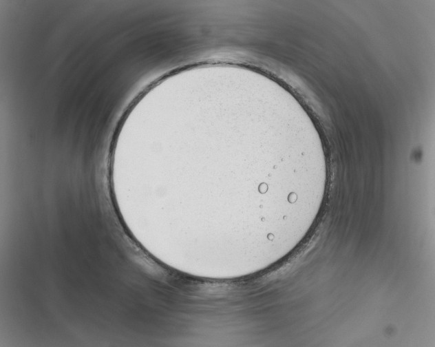X0000116661232201001251211