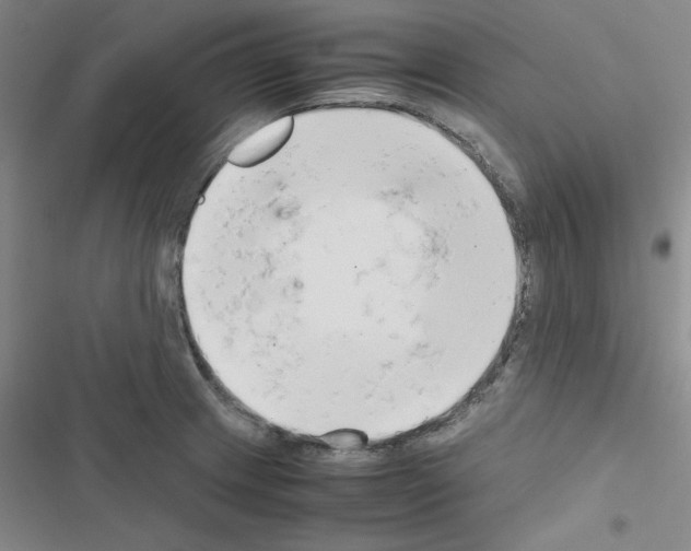 X0000116661233201001251211