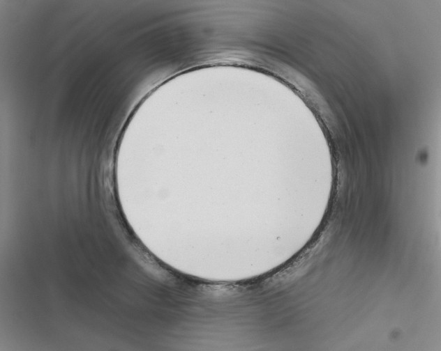 X0000116661234201001251211