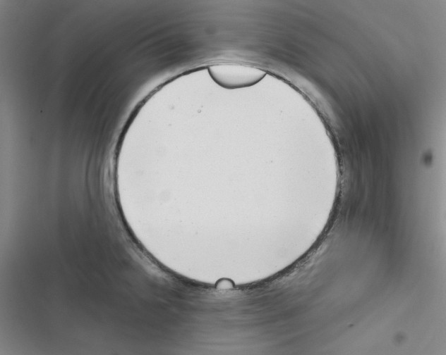 X0000116661238201001251211