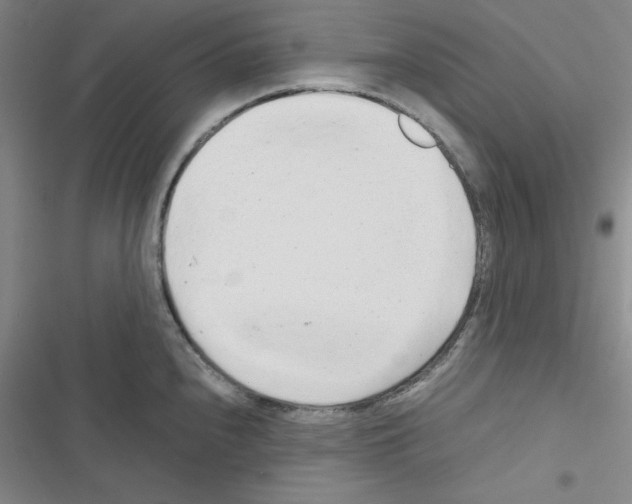 X0000116661240201001251211