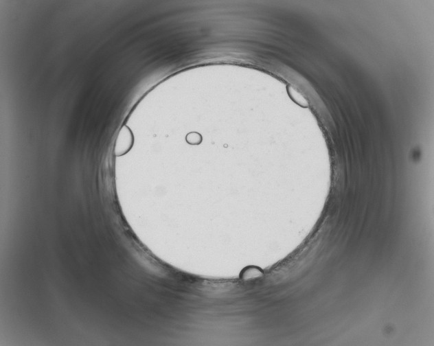 X0000116661242201001251211