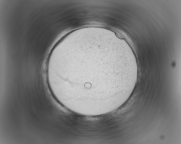 X0000116661243201001251211