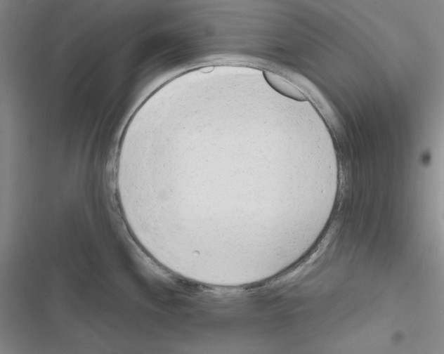 X0000116661244201001251211
