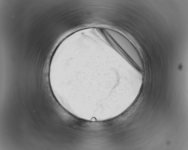 X0000116661246201001251211