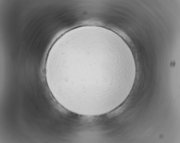 X0000116661248201001251211