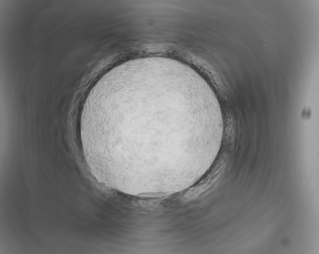 X0000116661249201001251210