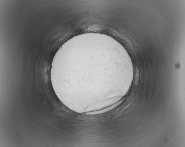 X0000116661250201001251210