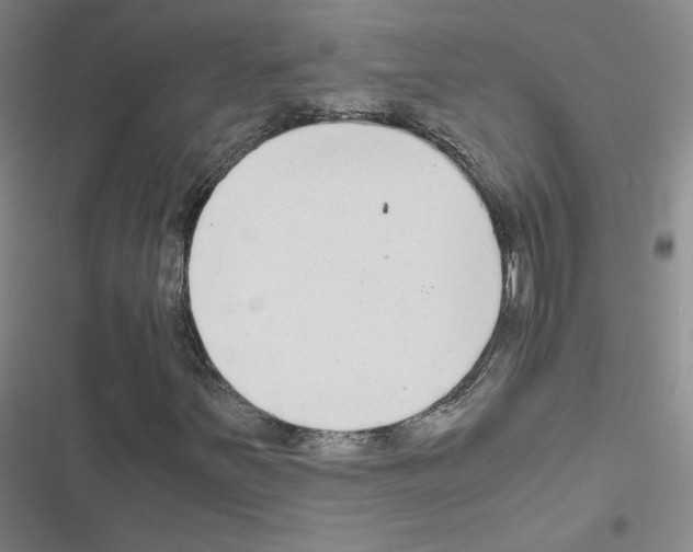 X0000116661251201001251210