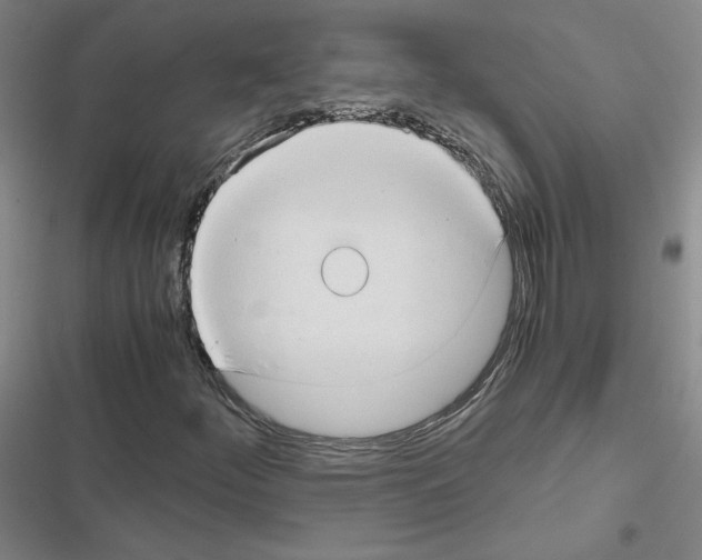X0000116661252201001251210