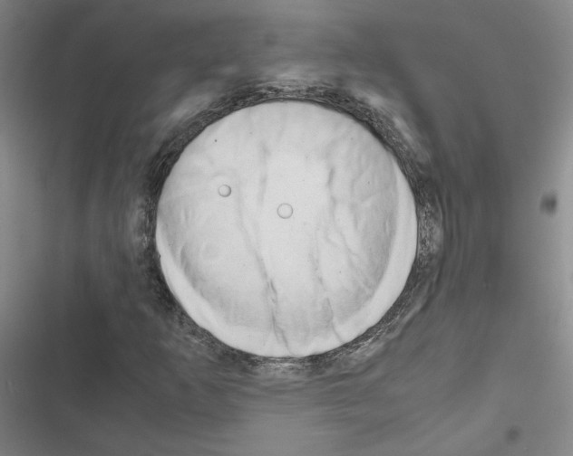 X0000116661253201001251210