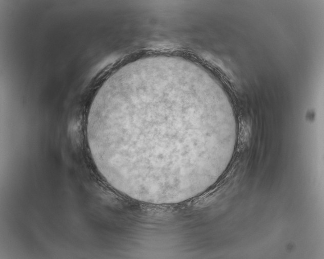 X0000116661254201001251210