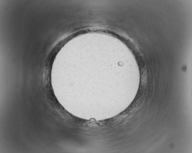 X0000116661255201001251210