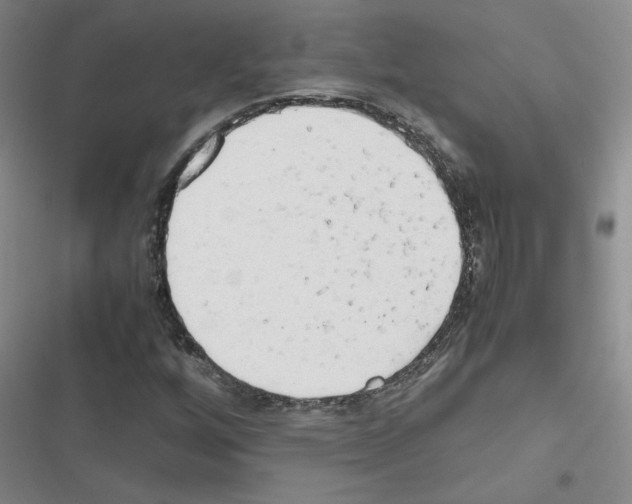 X0000116661256201001251210