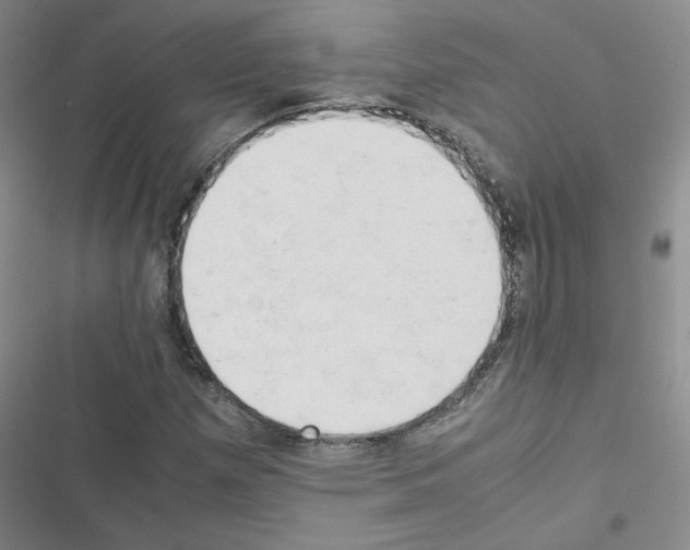 X0000116661257201001251210