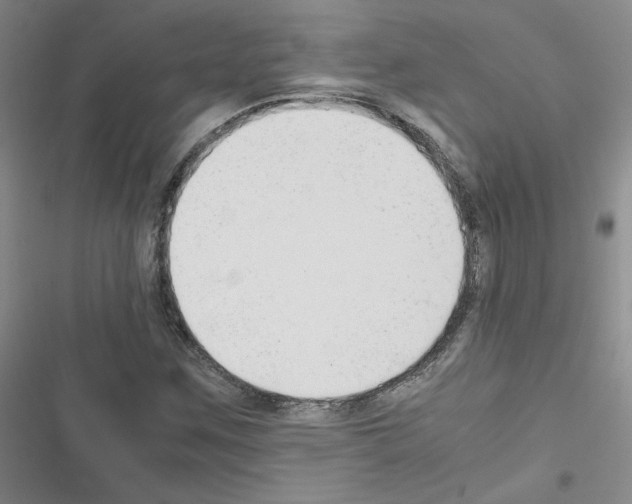 X0000116661259201001251210