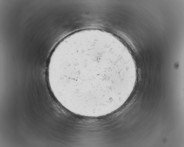 X0000116661260201001251210