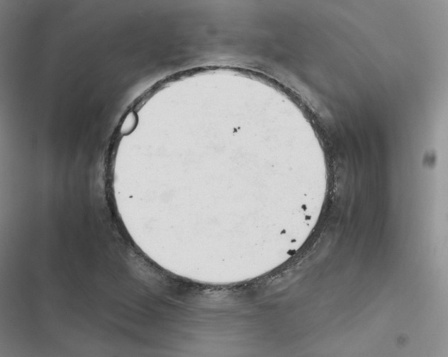 X0000116661264201001251210