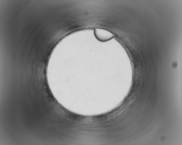 X0000116661265201001251210