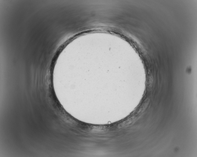 X0000116661267201001251210