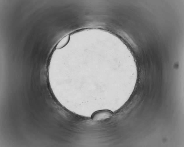 X0000116661268201001251210