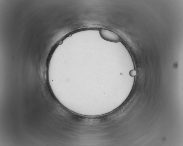 X0000116661269201001251210